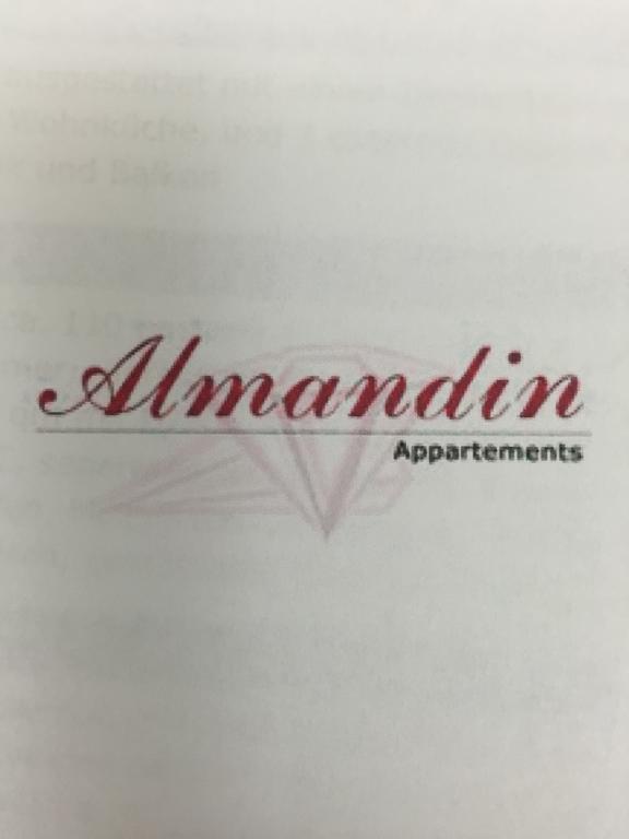 Almandin Apartments Ischgl Rum bild